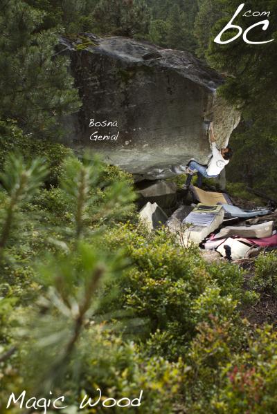 Marco in "Bosna Genial"